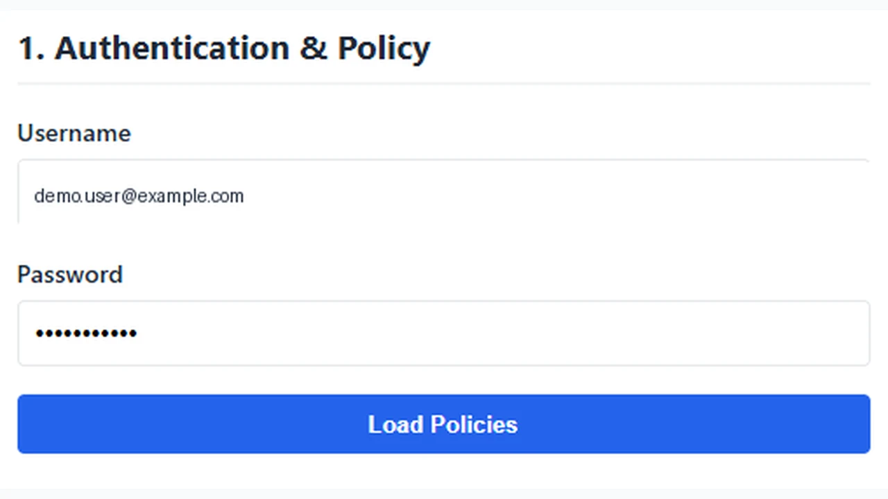 CSP Tokenization Tool & Load Tester interface capture