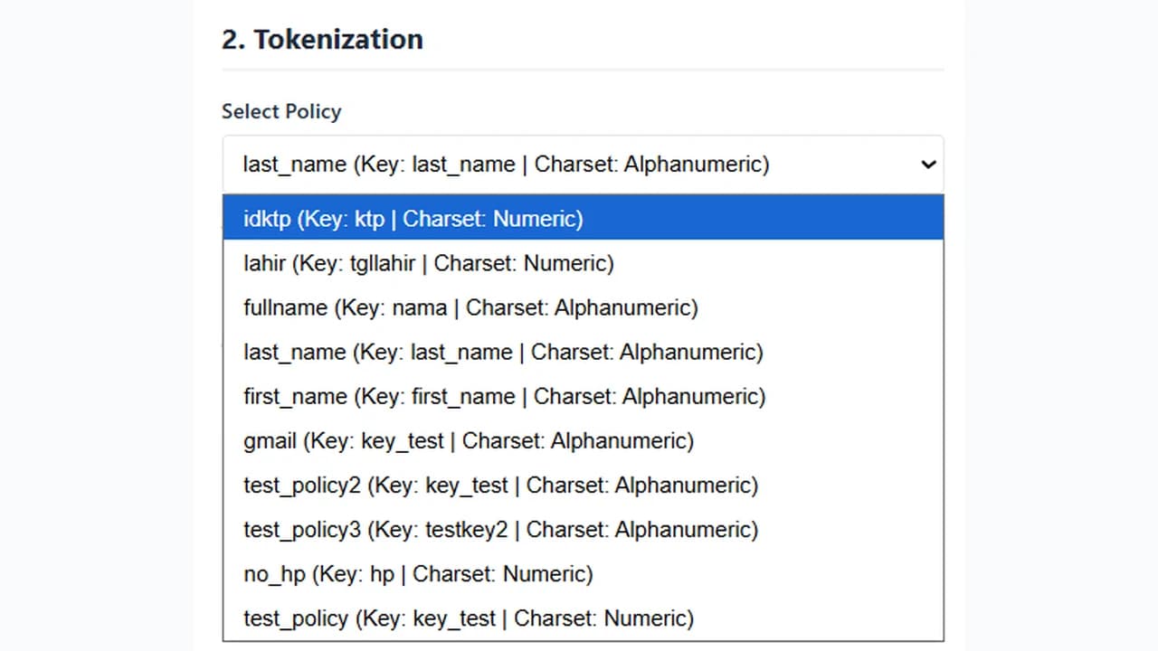 CSP Tokenization Tool & Load Tester interface capture